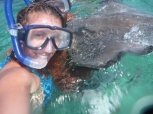 Snorkeling with the sting rays, Caye Caulker, Belize