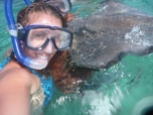 Snorkeling with the sting rays, Caye Caulker, Belize