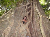 6 meters high inside the 'hollow tree', Monteverde, Costa Rica