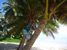 Climbing coconut trees to get me some lunch! Cook Islands